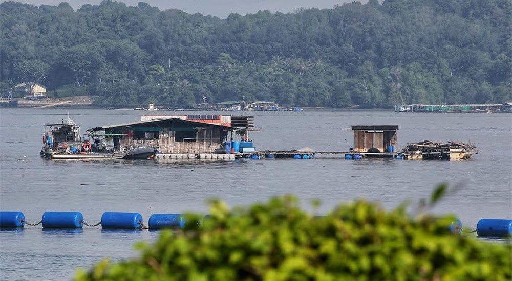 Can containerized oxygen generators be used in aquaculture?